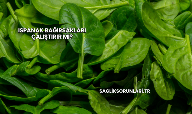 Ispanak Bağırsakları Çalıştırır mı?