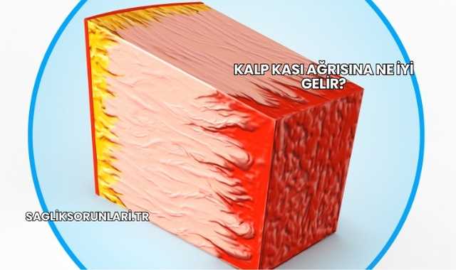 Kalp Kası Ağrısına Ne İyi Gelir?