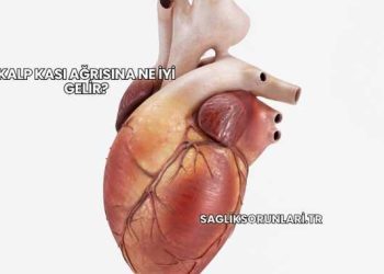 Kalp Kası Ağrısına Ne İyi Gelir?