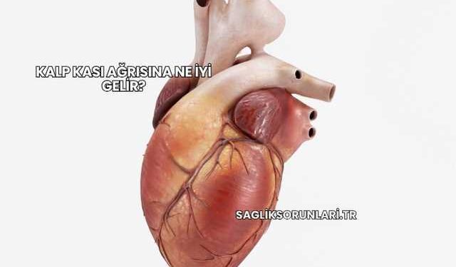 Kalp Kası Ağrısına Ne İyi Gelir?