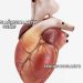Kalp Kası Ağrısına Ne İyi Gelir?