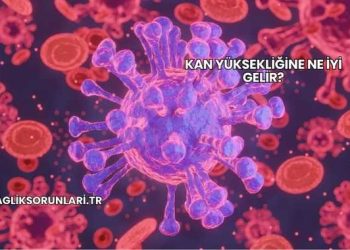 Kan Yüksekliğine Ne İyi Gelir?