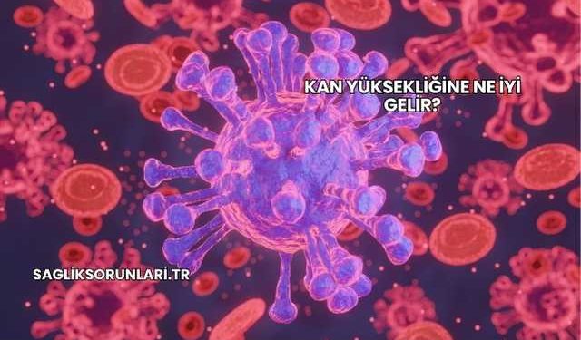 Kan Yüksekliğine Ne İyi Gelir?