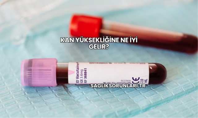 Kan Yüksekliğine Ne İyi Gelir?