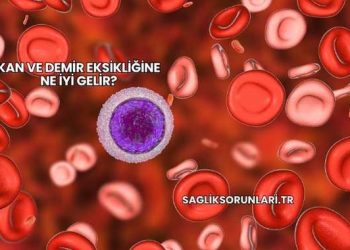 Kan ve Demir Eksikliğine Ne İyi Gelir?