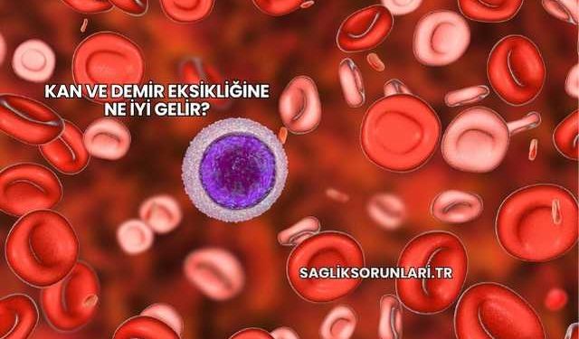 Kan ve Demir Eksikliğine Ne İyi Gelir?