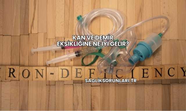Kan ve Demir Eksikliğine Ne İyi Gelir?