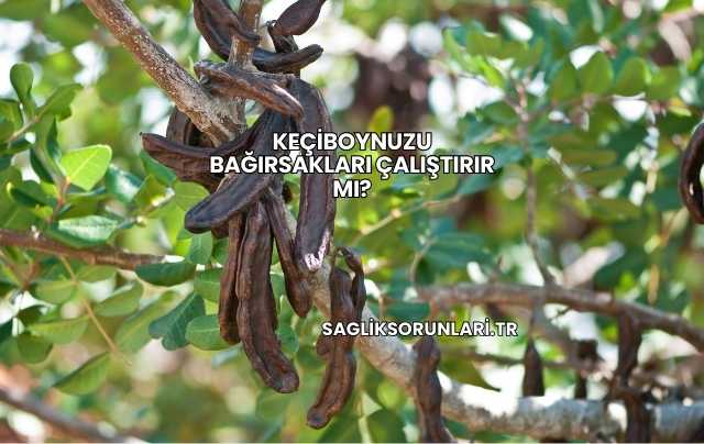 Keçiboynuzu Bağırsakları Çalıştırır mı?
