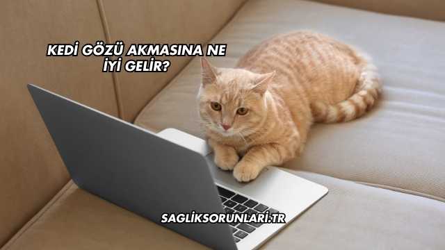 Kedi Gözü Akmasına Ne İyi Gelir?