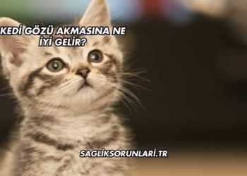 Kedi Gözü Akmasına Ne İyi Gelir?