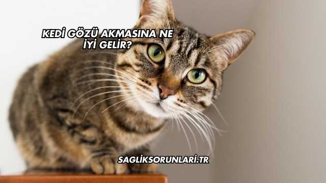 Kedi Gözü Akmasına Ne İyi Gelir?