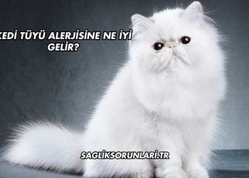 Kedi Tüyü Alerjisine Ne İyi Gelir?
