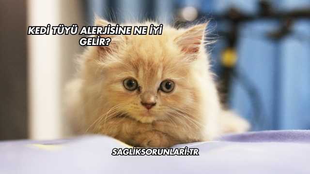 Kedi Tüyü Alerjisine Ne İyi Gelir?