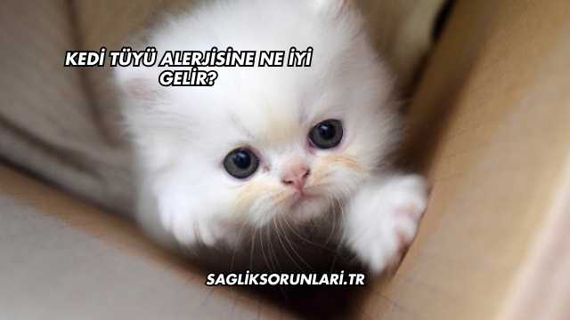 Kedi Tüyü Alerjisine Ne İyi Gelir?