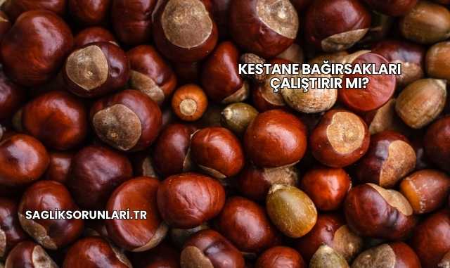 Kestane Bağırsakları Çalıştırır mı?
