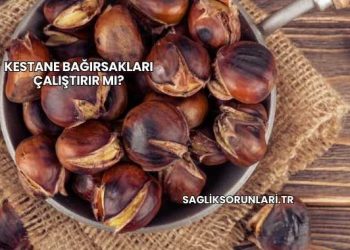 Kestane Bağırsakları Çalıştırır mı?