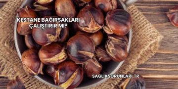 Kestane Bağırsakları Çalıştırır mı?