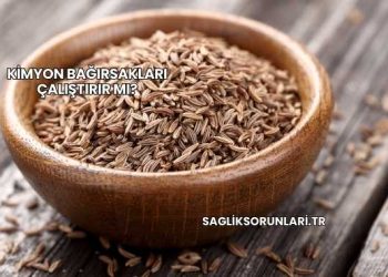 Kimyon Bağırsakları Çalıştırır mı?