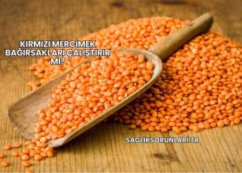Kırmızı Mercimek Bağırsakları Çalıştırır mı?
