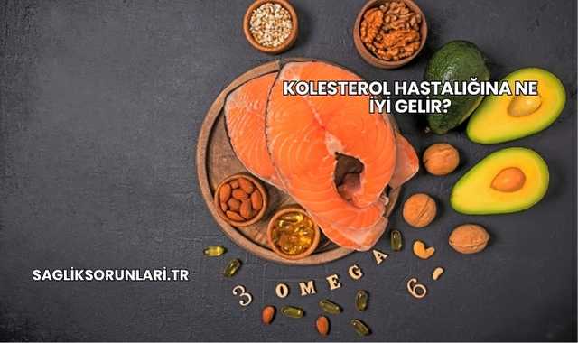 Kolesterol Hastalığına Ne İyi Gelir?