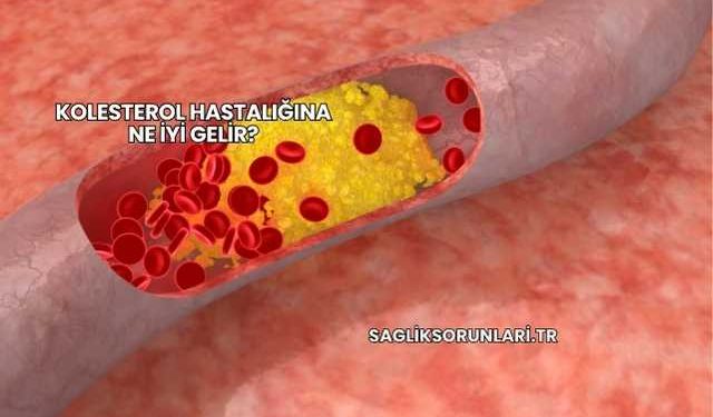 Kolesterol Hastalığına Ne İyi Gelir?