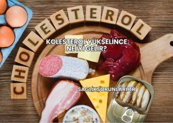 Kolesterol Yükselince Ne İyi Gelir?