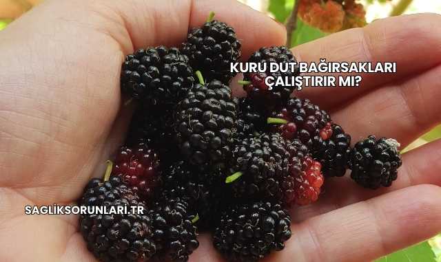 Kuru Dut Bağırsakları Çalıştırır mı?
