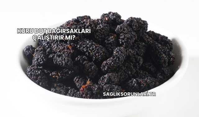 Kuru Dut Bağırsakları Çalıştırır mı?