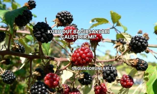 Kuru Dut Bağırsakları Çalıştırır mı?