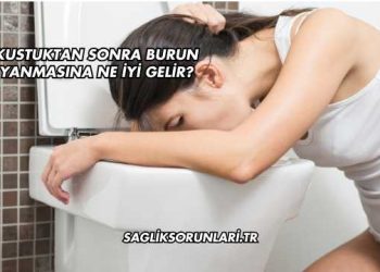Kustuktan Sonra Burun Yanmasına Ne İyi Gelir?