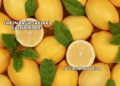 Limon Bağırsakları Çalıştırır mı?