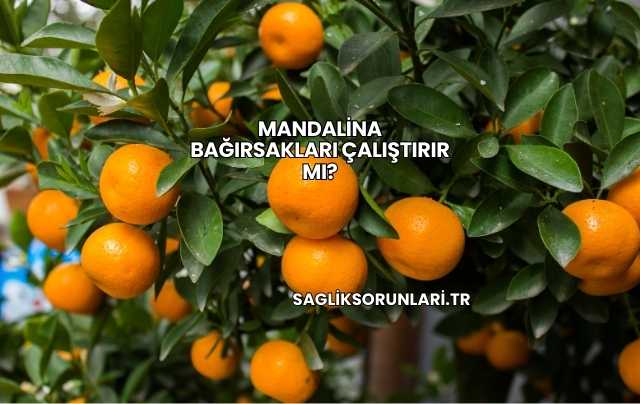 Mandalina Bağırsakları Çalıştırır mı?