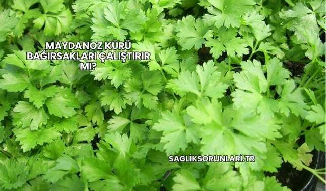 Maydanoz Kürü Bağırsakları Çalıştırır mı?