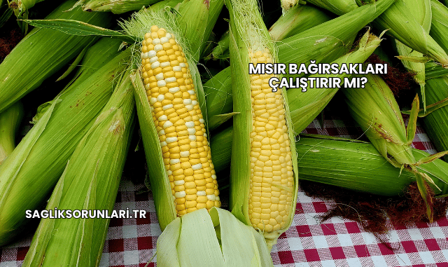 Mısır Bağırsakları Çalıştırır mı?