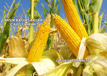 Mısır Bağırsakları Çalıştırır mı?