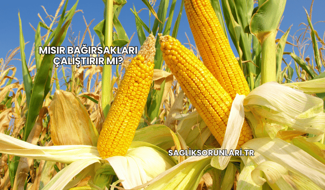 Mısır Bağırsakları Çalıştırır mı?