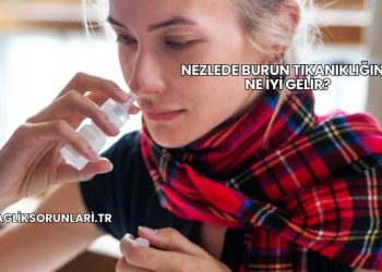 Nezlede Burun Tıkanıklığına Ne İyi Gelir?