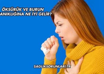 Öksürük ve Burun Tıkanıklığına Ne İyi Gelir?