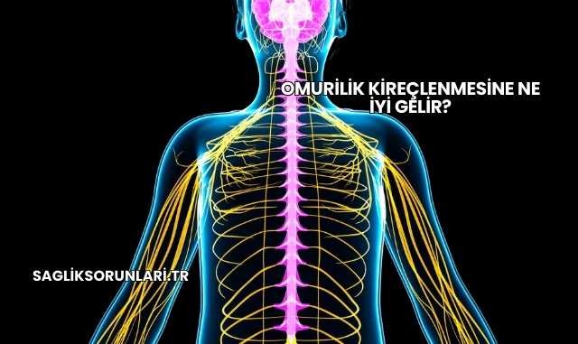 Omurilik Kireçlenmesine Ne İyi Gelir?
