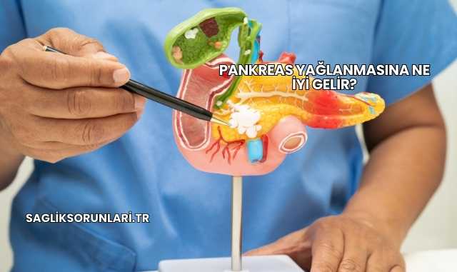 Pankreas Yağlanmasına Ne İyi Gelir?