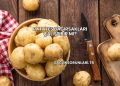 Patates Bağırsakları Çalıştırır mı?