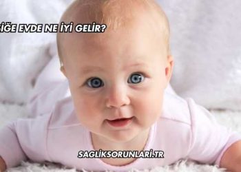 Pişiğe Evde Ne İyi Gelir?