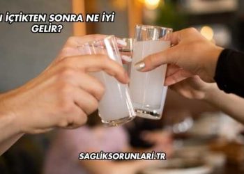 Rakı İçtikten Sonra Ne İyi Gelir?