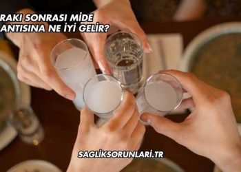 Rakı Sonrası Mide Bulantısına Ne İyi Gelir?