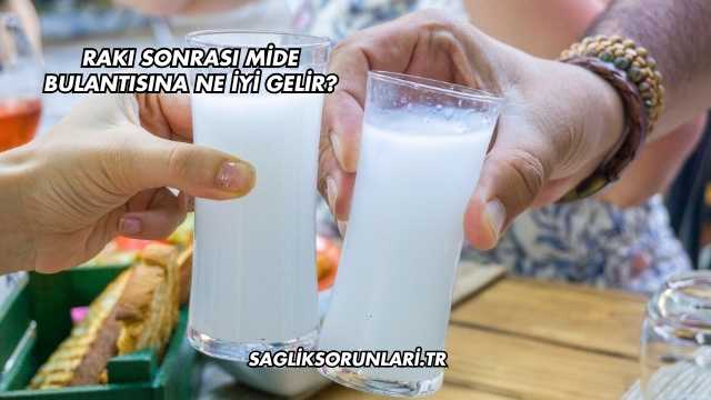 Rakı Sonrası Mide Bulantısına Ne İyi Gelir?