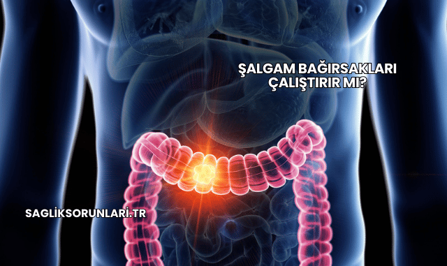 Şalgam Bağırsakları Çalıştırır mı?