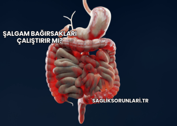 Şalgam Bağırsakları Çalıştırır mı?