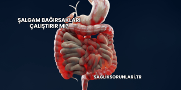 Şalgam Bağırsakları Çalıştırır mı?