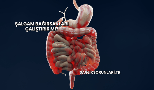 Şalgam Bağırsakları Çalıştırır mı?