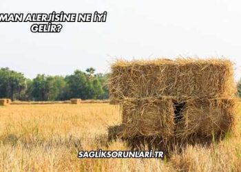 Saman Alerjisine Ne İyi Gelir?